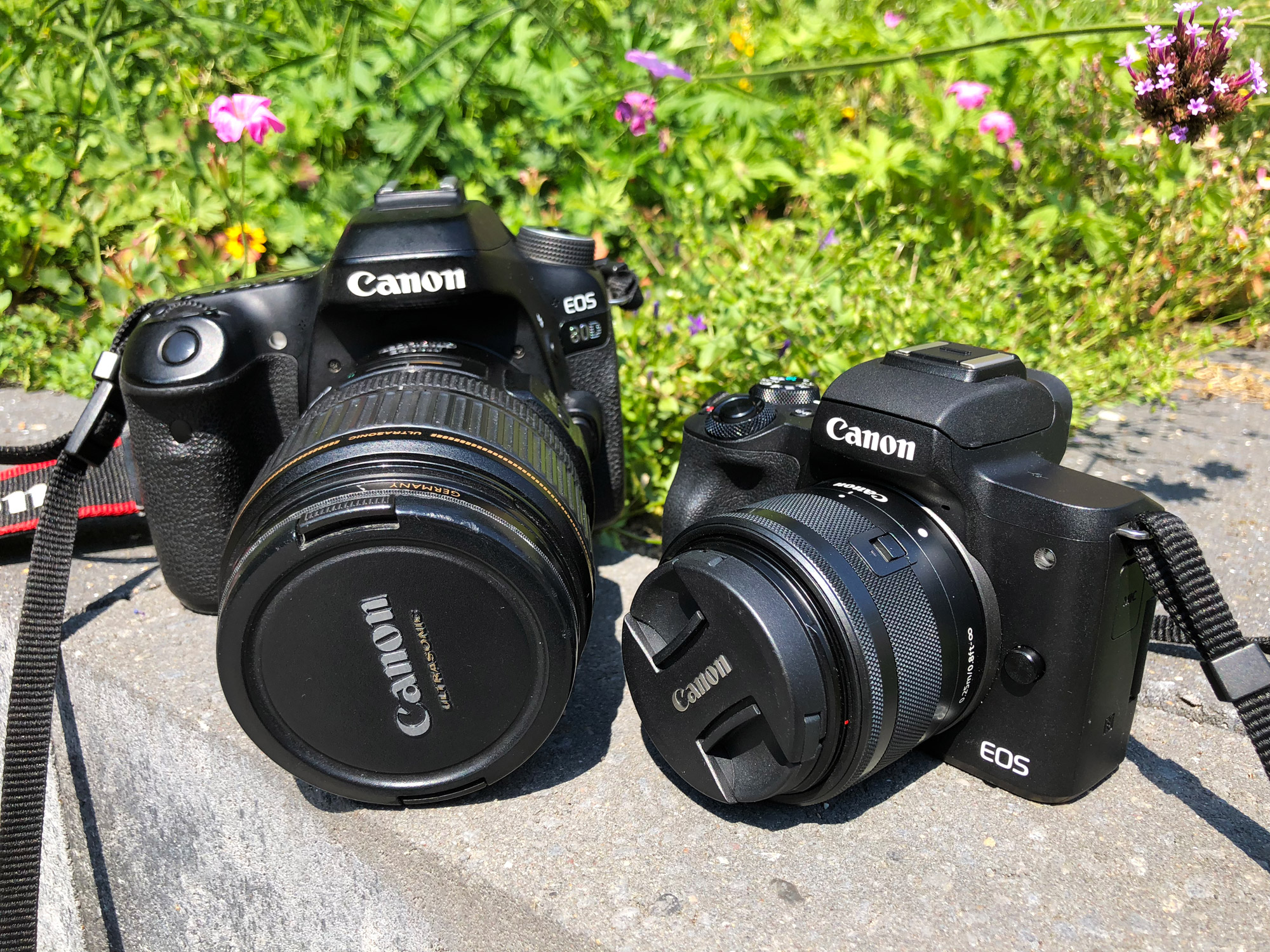 Review: Canon EOS M50