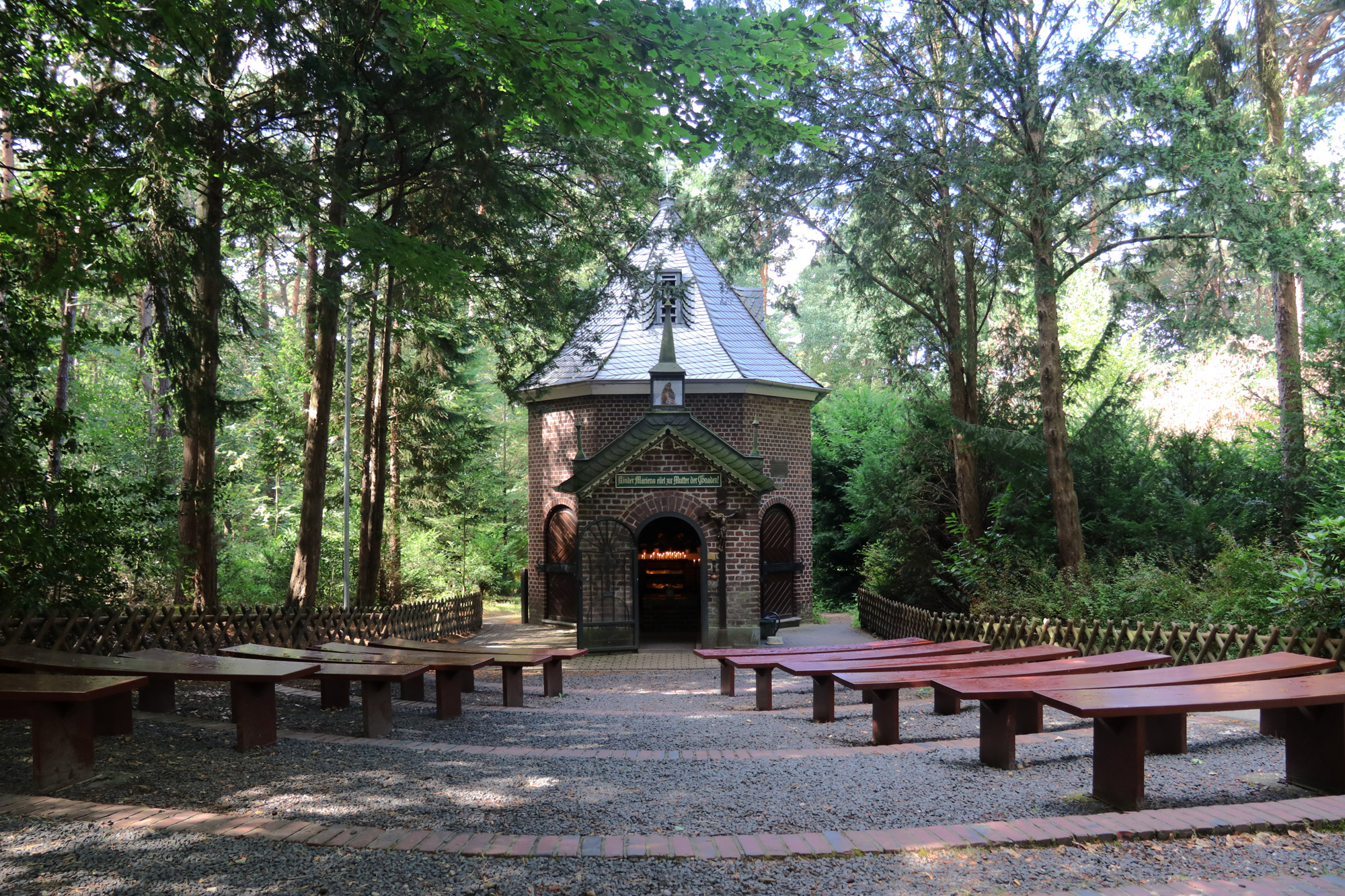 Wandeling: Birgeler Urwald in Duitsland