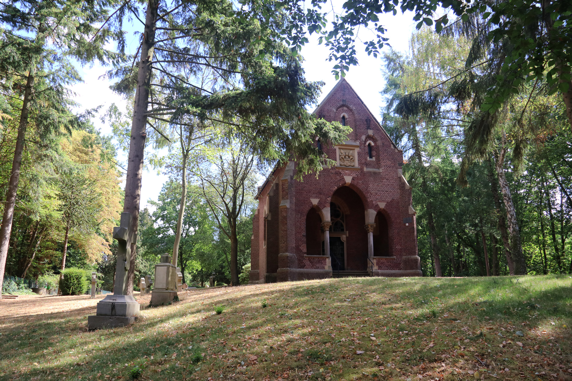 Wandeling: Birgeler Urwald in Duitsland