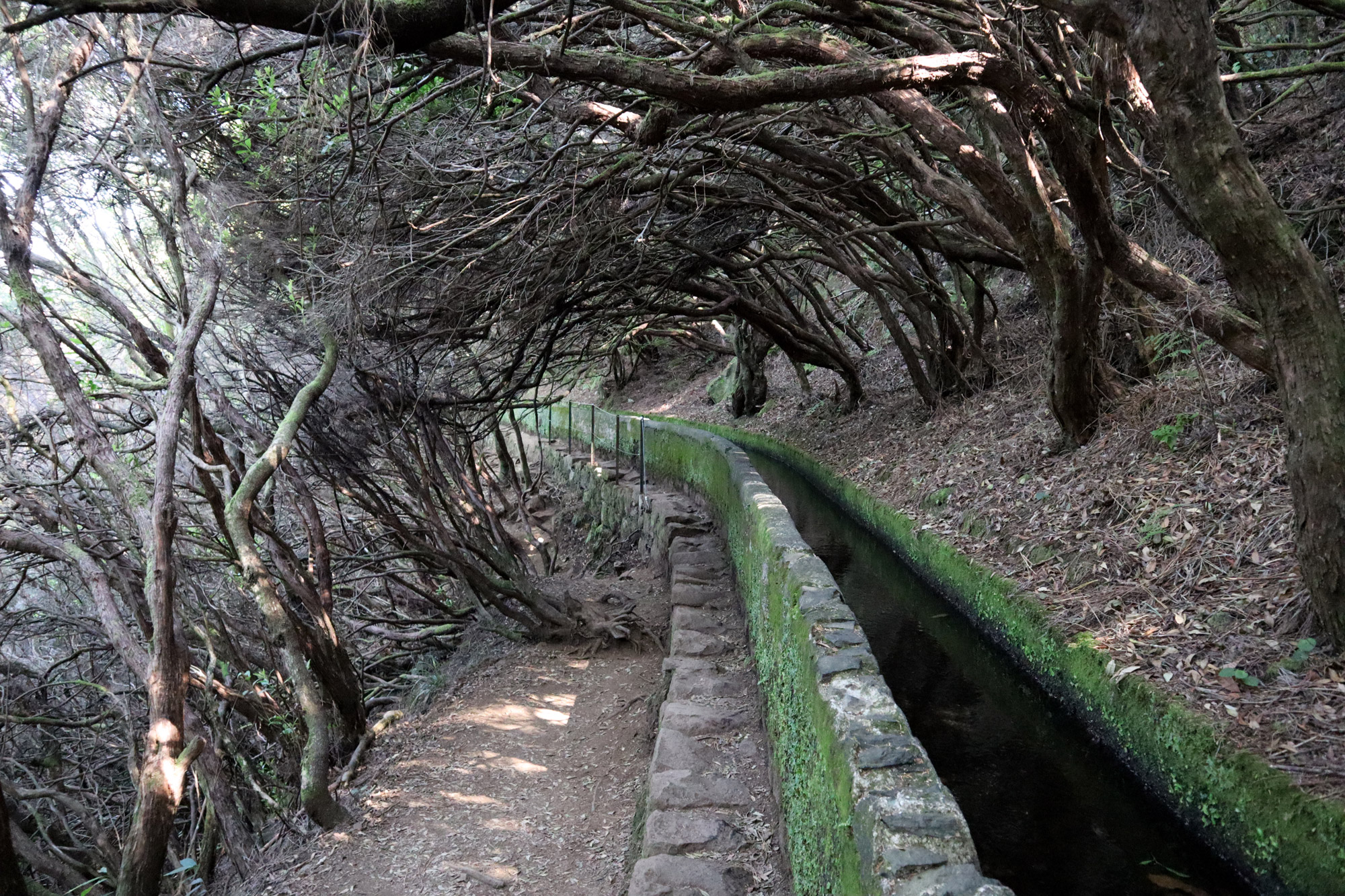 10x doen op Madeira - maak een levada wandeling