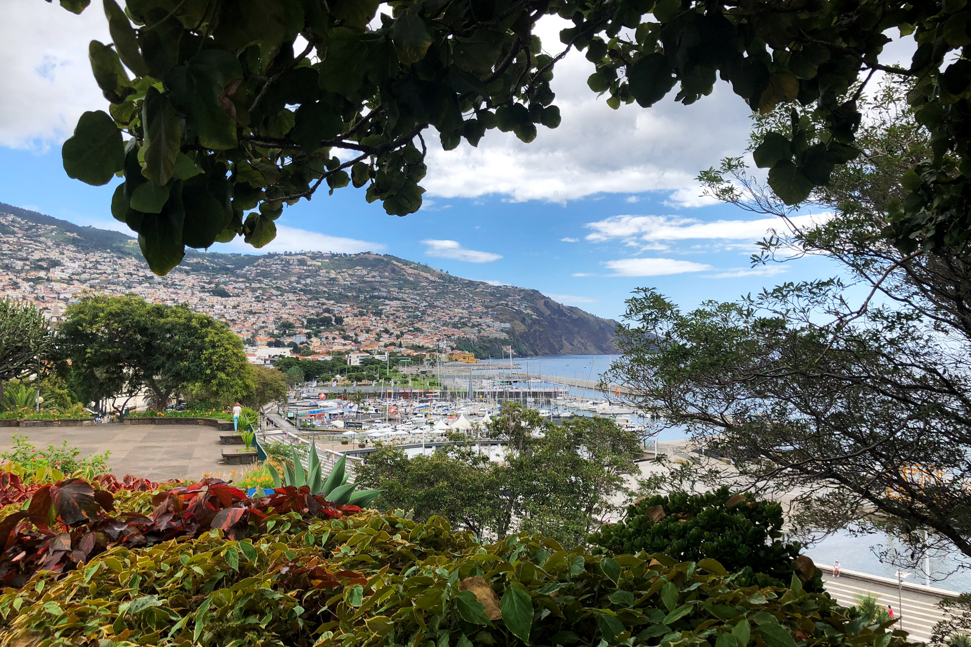 Madeira in 10 beelden - Funchal