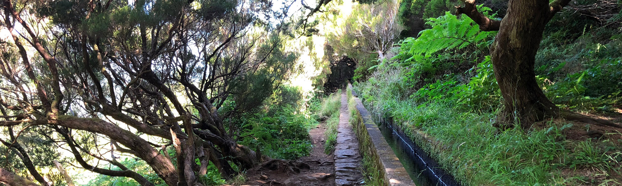 Madeira in 10 beelden - Levada wandelingen