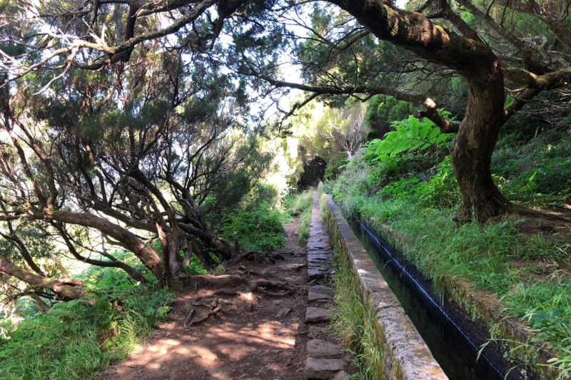 Madeira in 10 beelden - Levada wandelingen