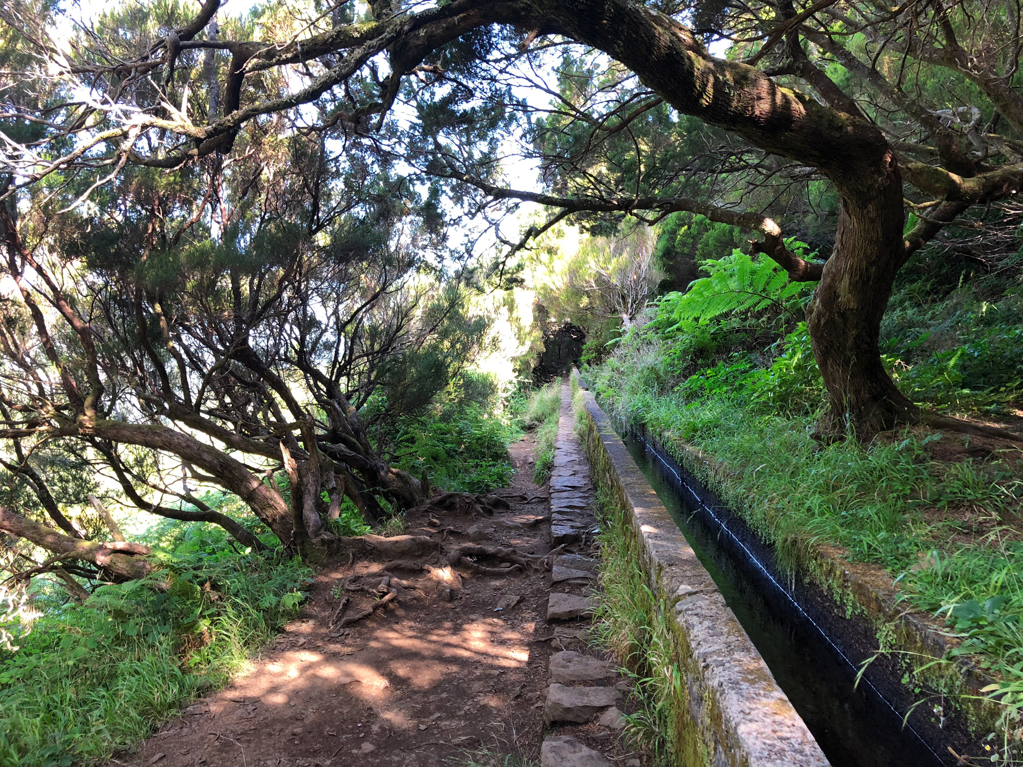 Madeira in 10 beelden - Levada wandelingen