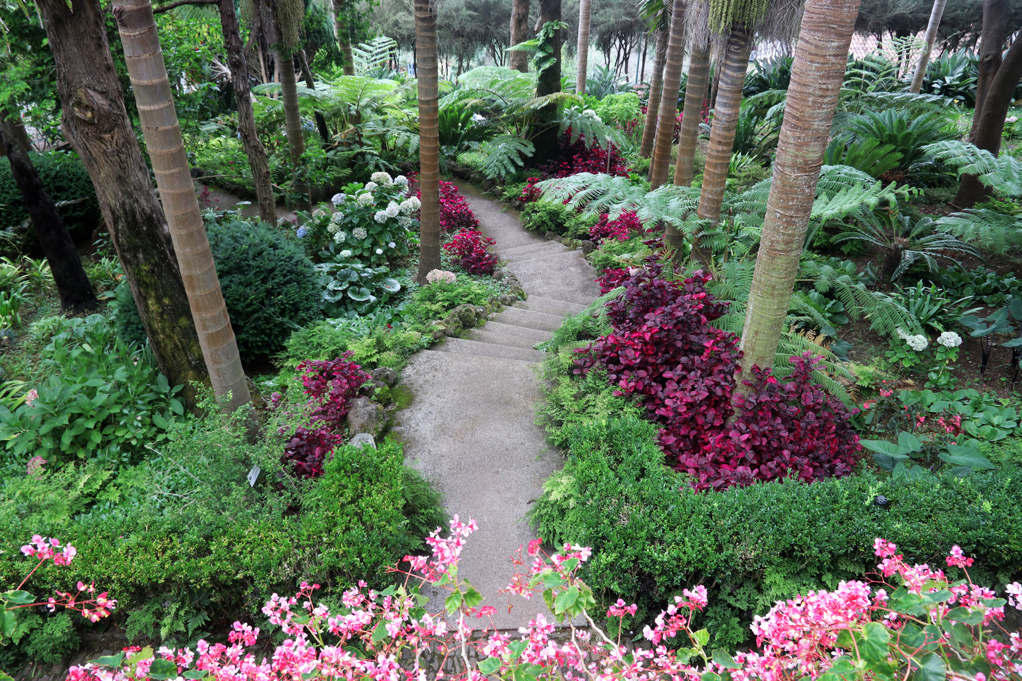 Madeira in 10 beelden - Monte Palace