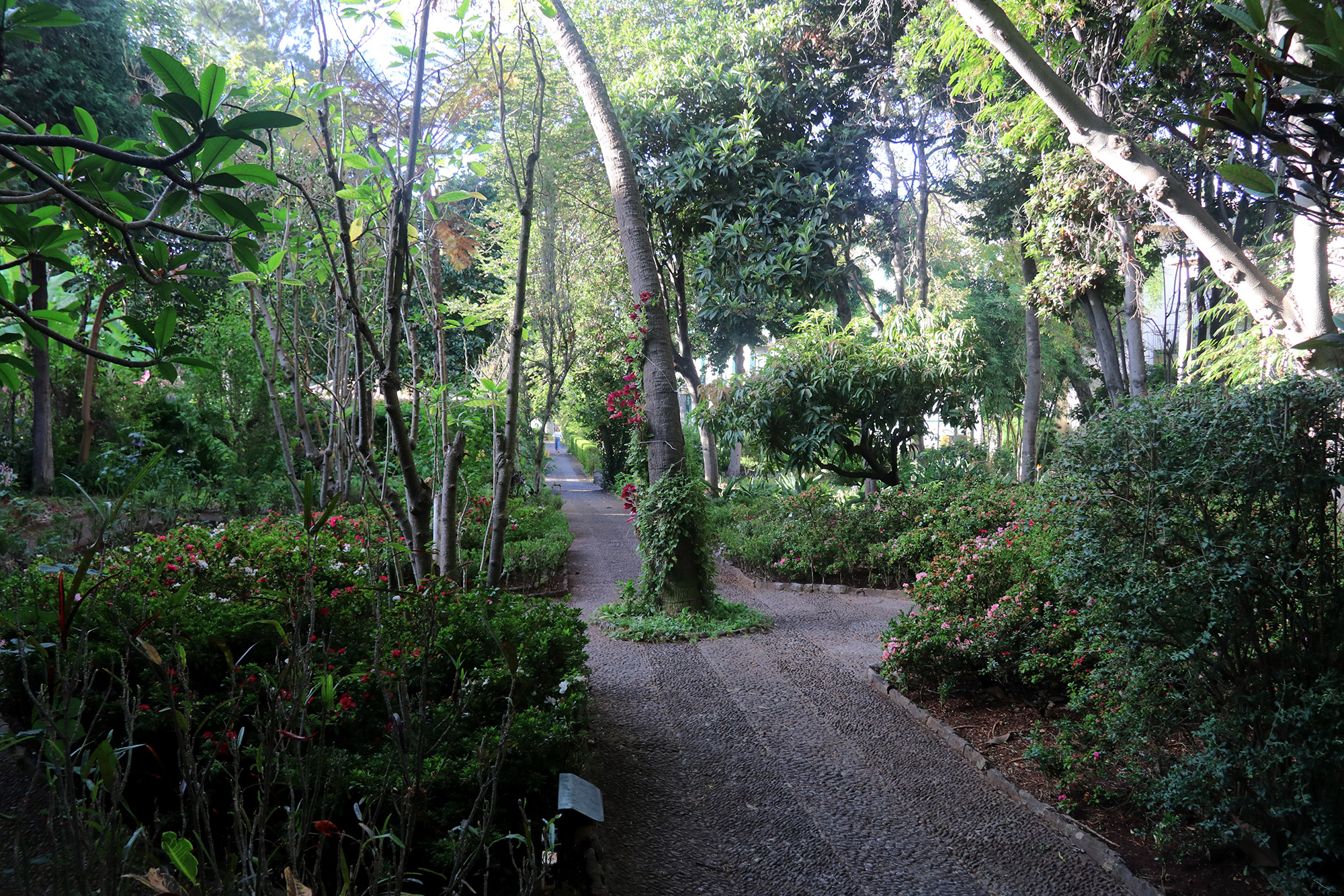 Madeira - Quinta da Bela Vista