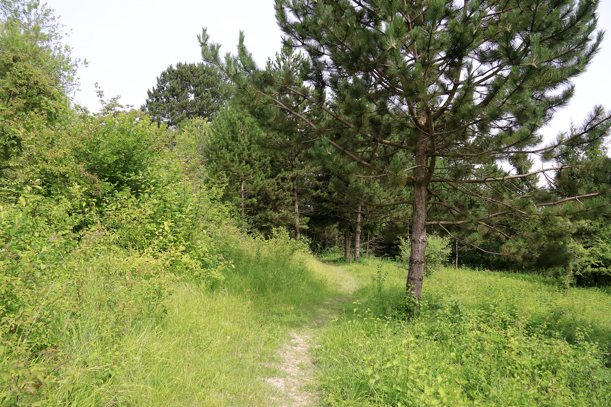 Wandelen bij Monts de Séry