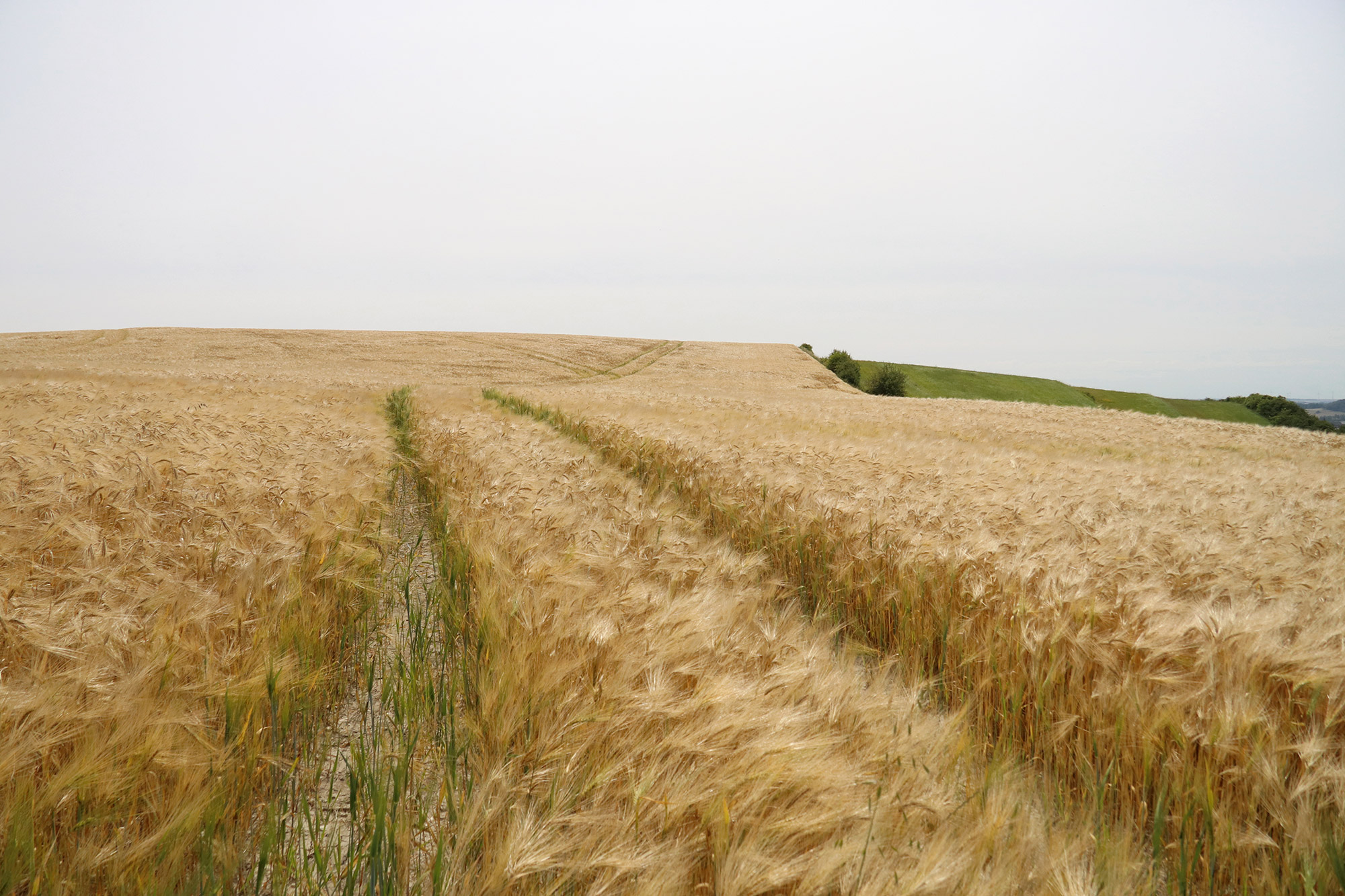 Wandelen bij Monts de Séry