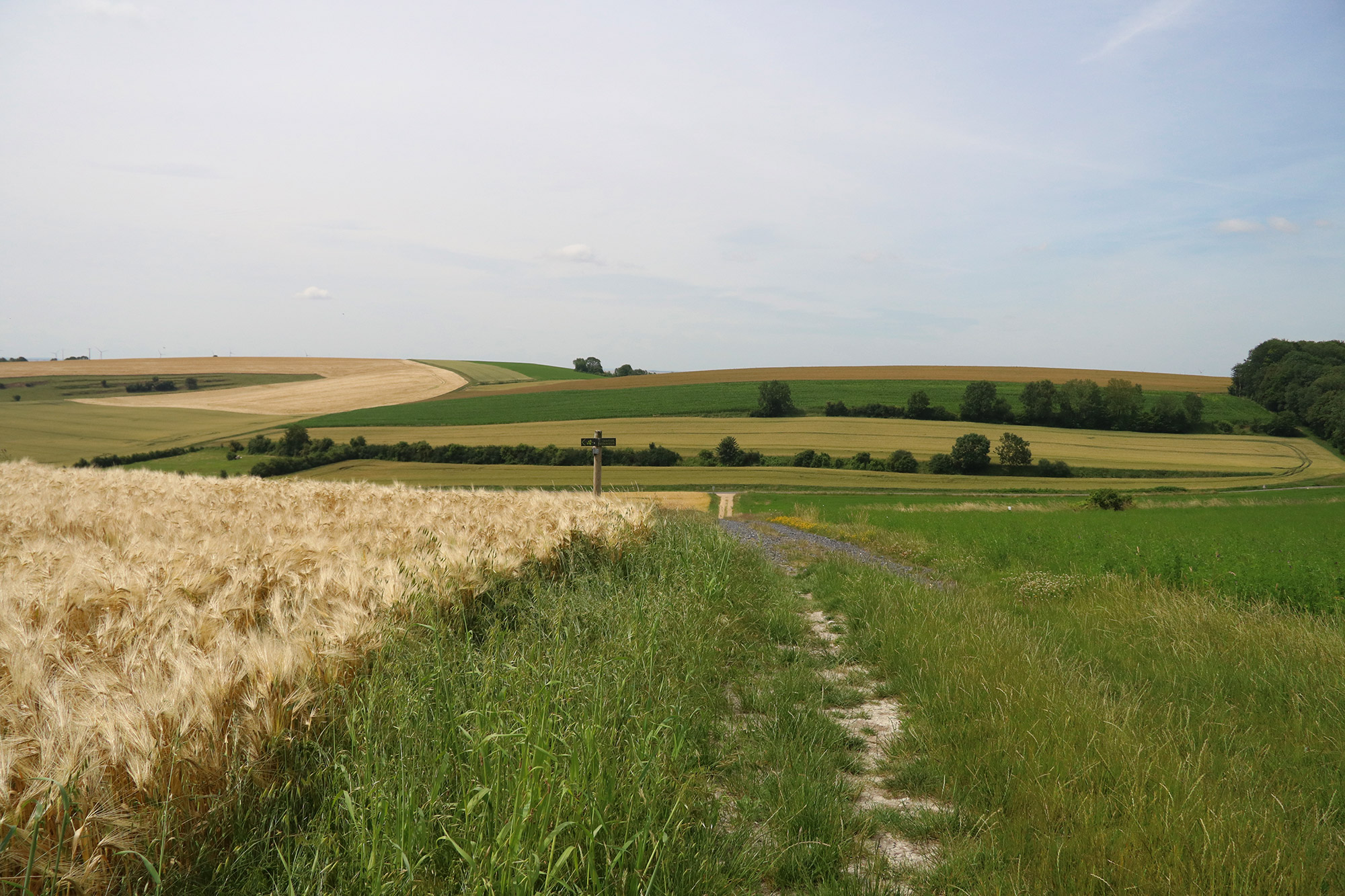 Wandelen bij Monts de Séry