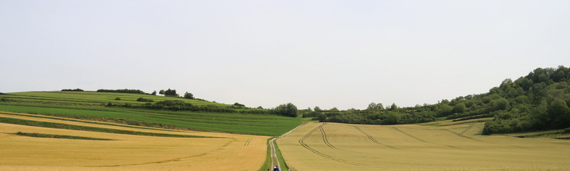 Wandelen bij Monts de Séry