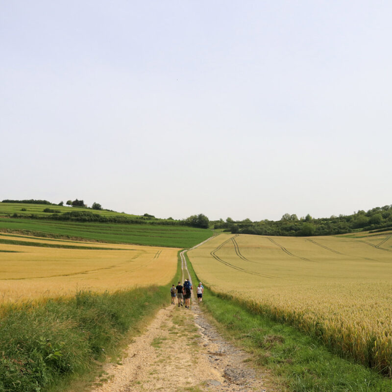 Wandelen in Frankrijk: Monts de Séry