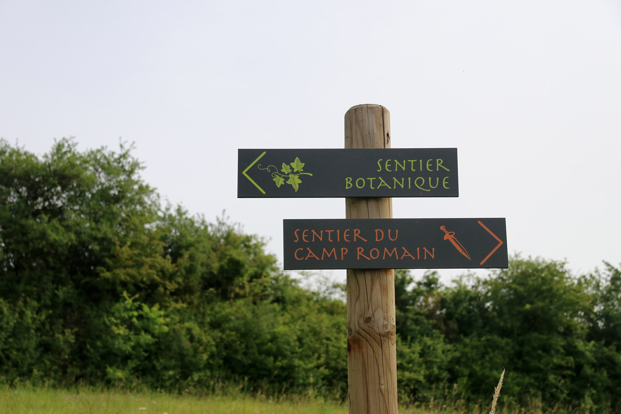 Wandelen bij Monts de Séry