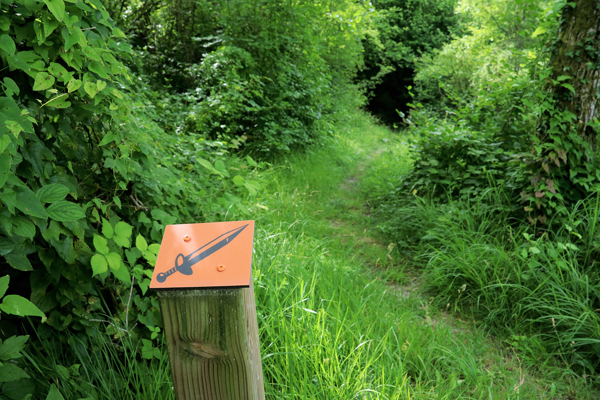 Wandelen bij Monts de Séry