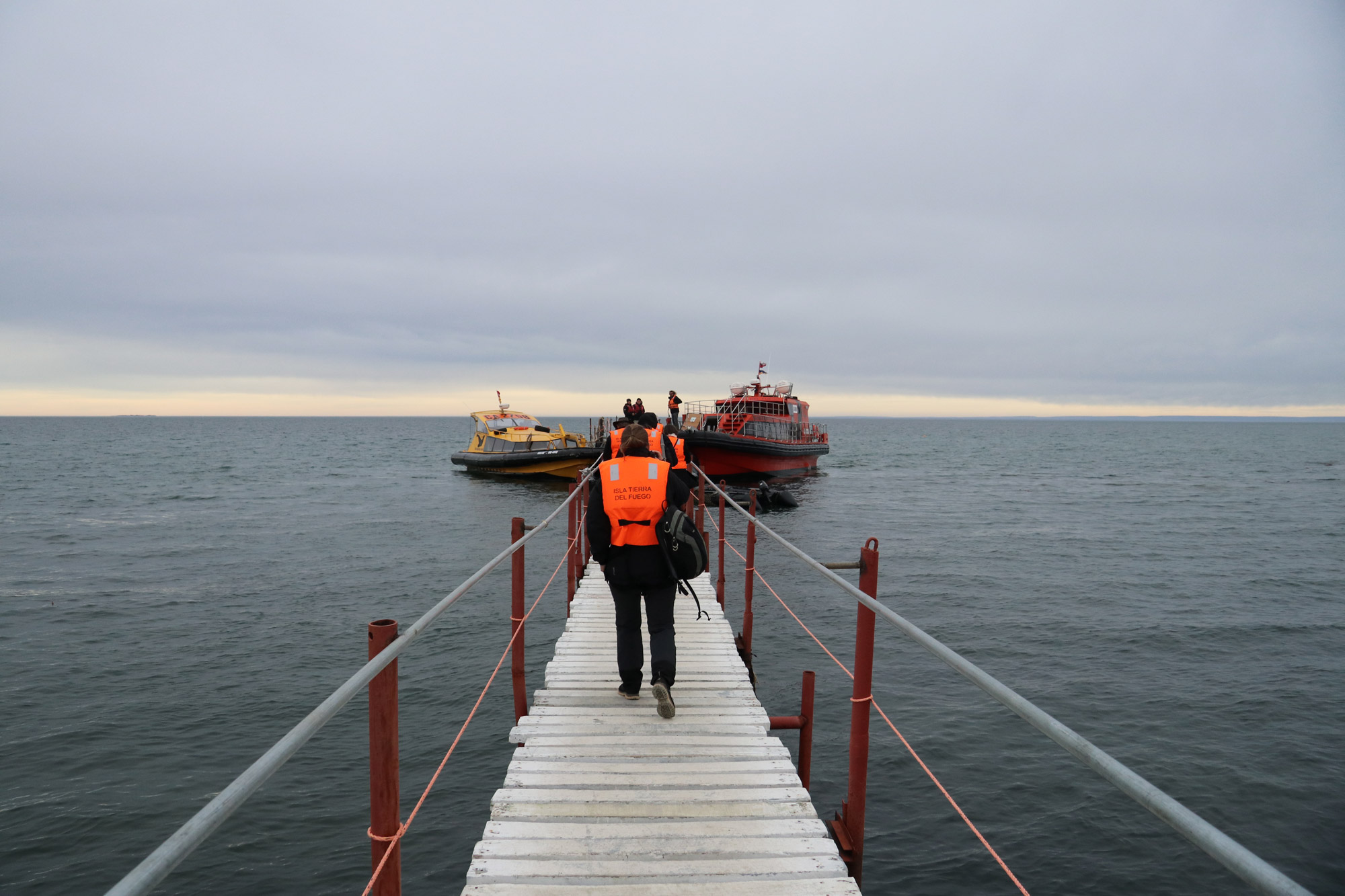 Patagonië - Met de boot naar Isla Magdalena