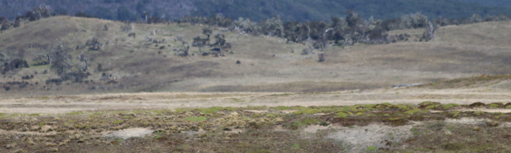 Patagonië - Parque Nacional Karukinka