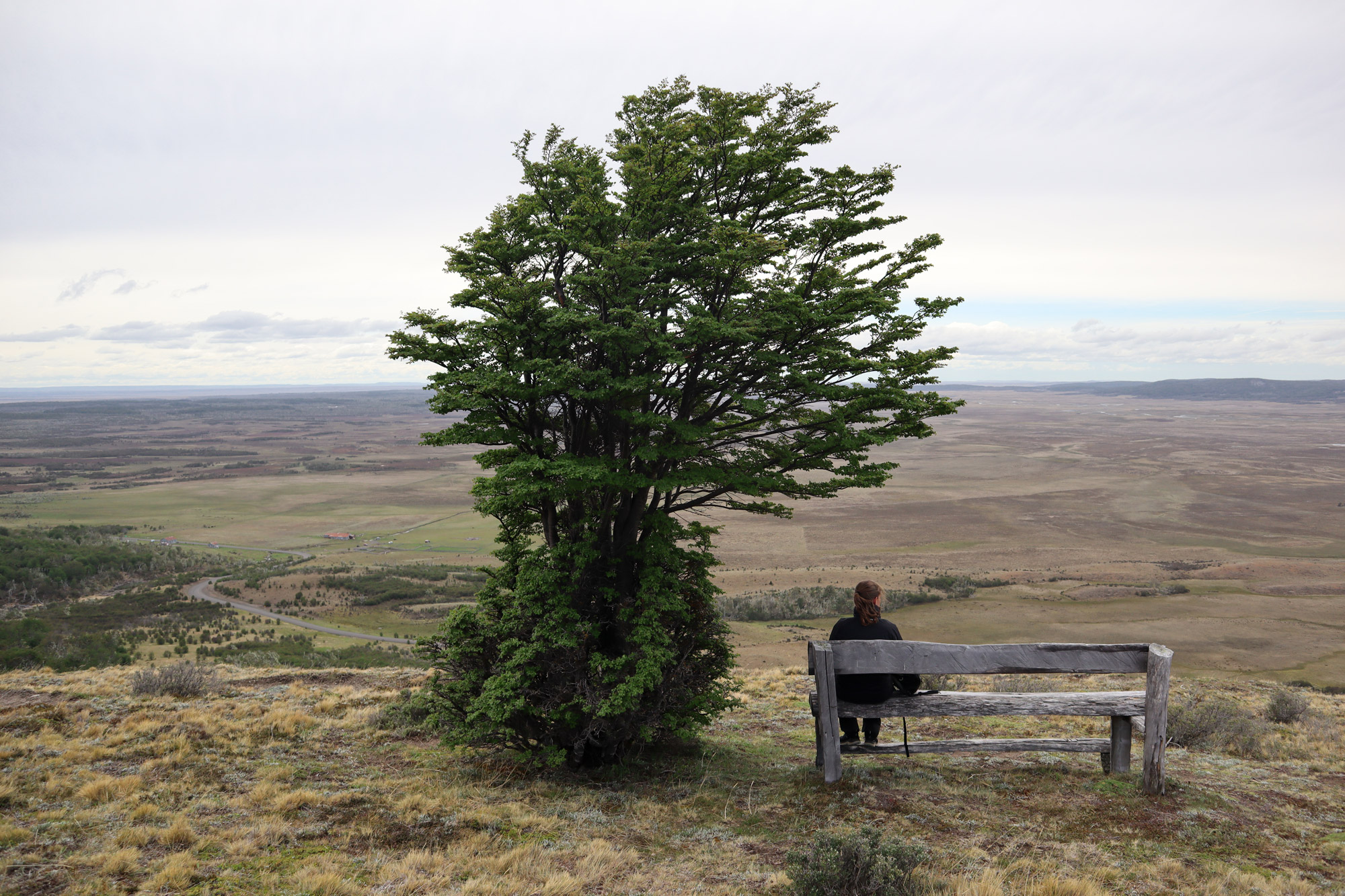 Patagonië - Parque Nacional Karukinka