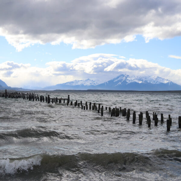 Patagonië - Puerto Natales