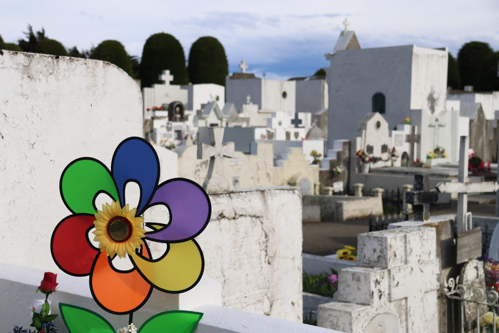 Patagonië - Punta Aremas - Cementerio Muncipal