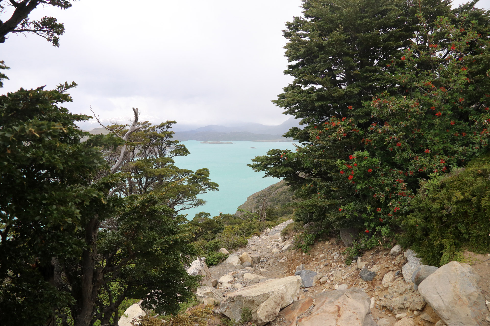 Patagonië - Torres del Paine