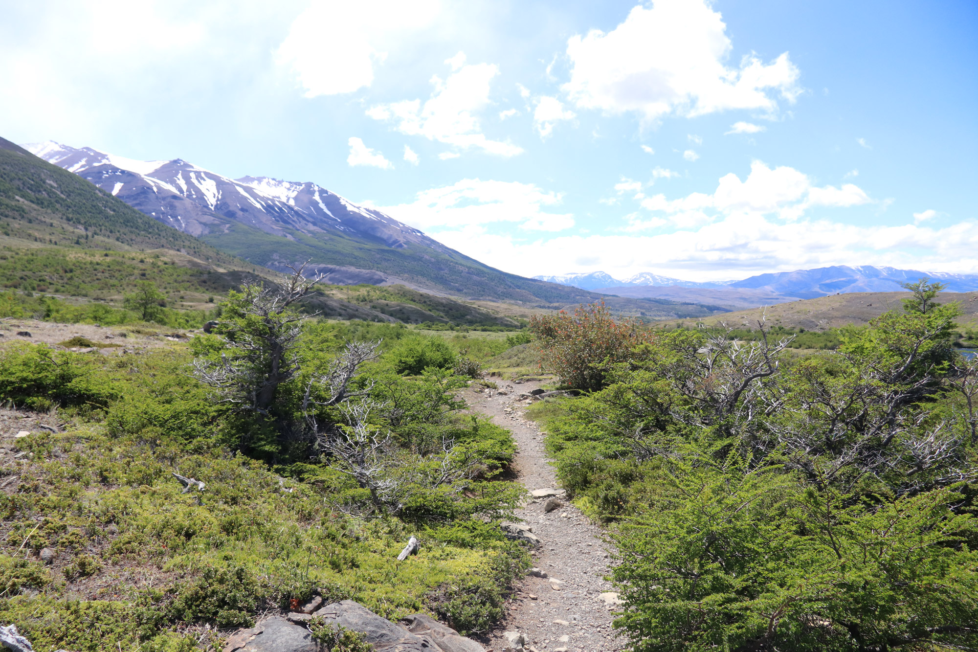 Patagonië - Torres del Paine