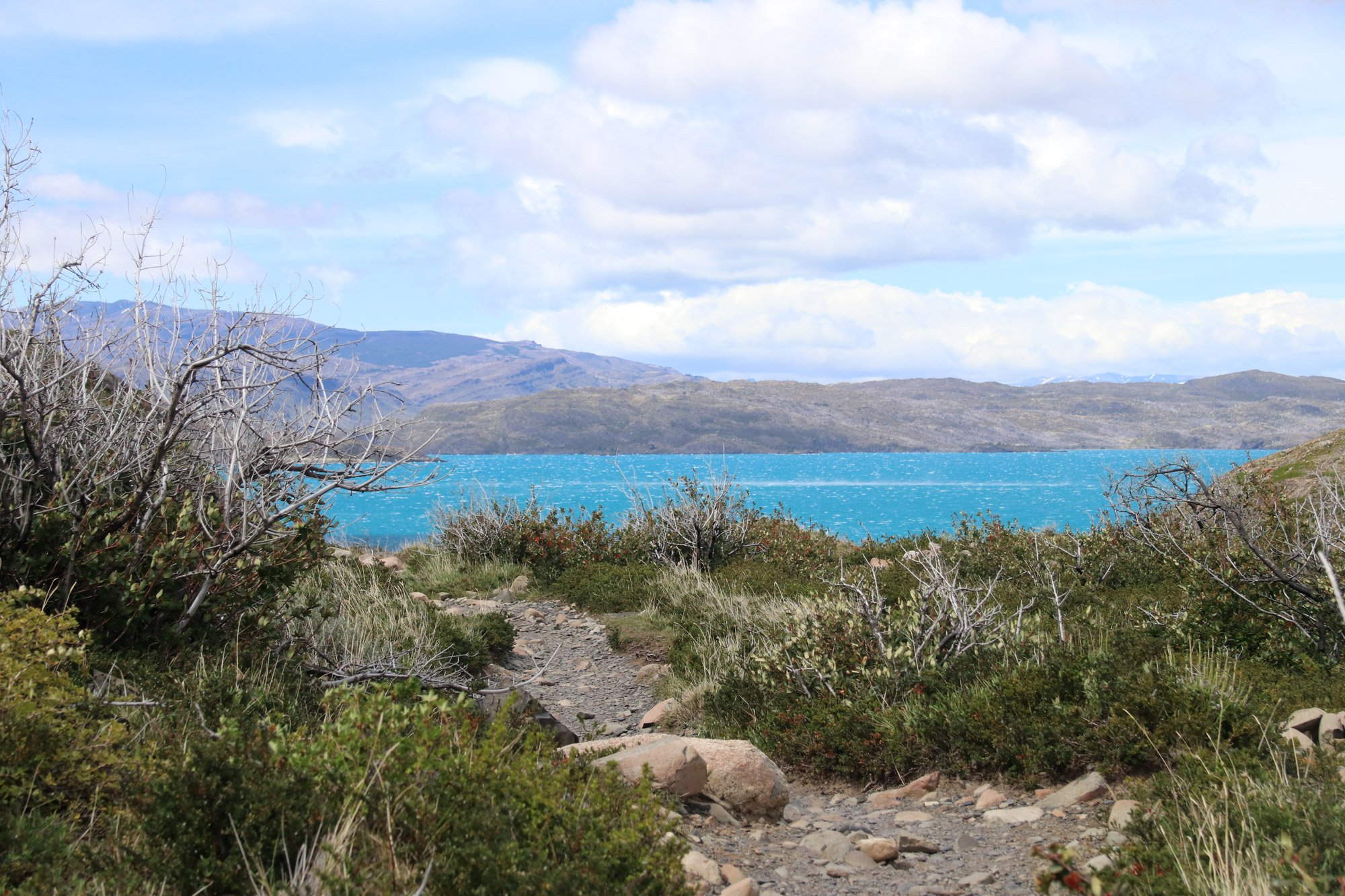 Patagonië - Torres del Paine