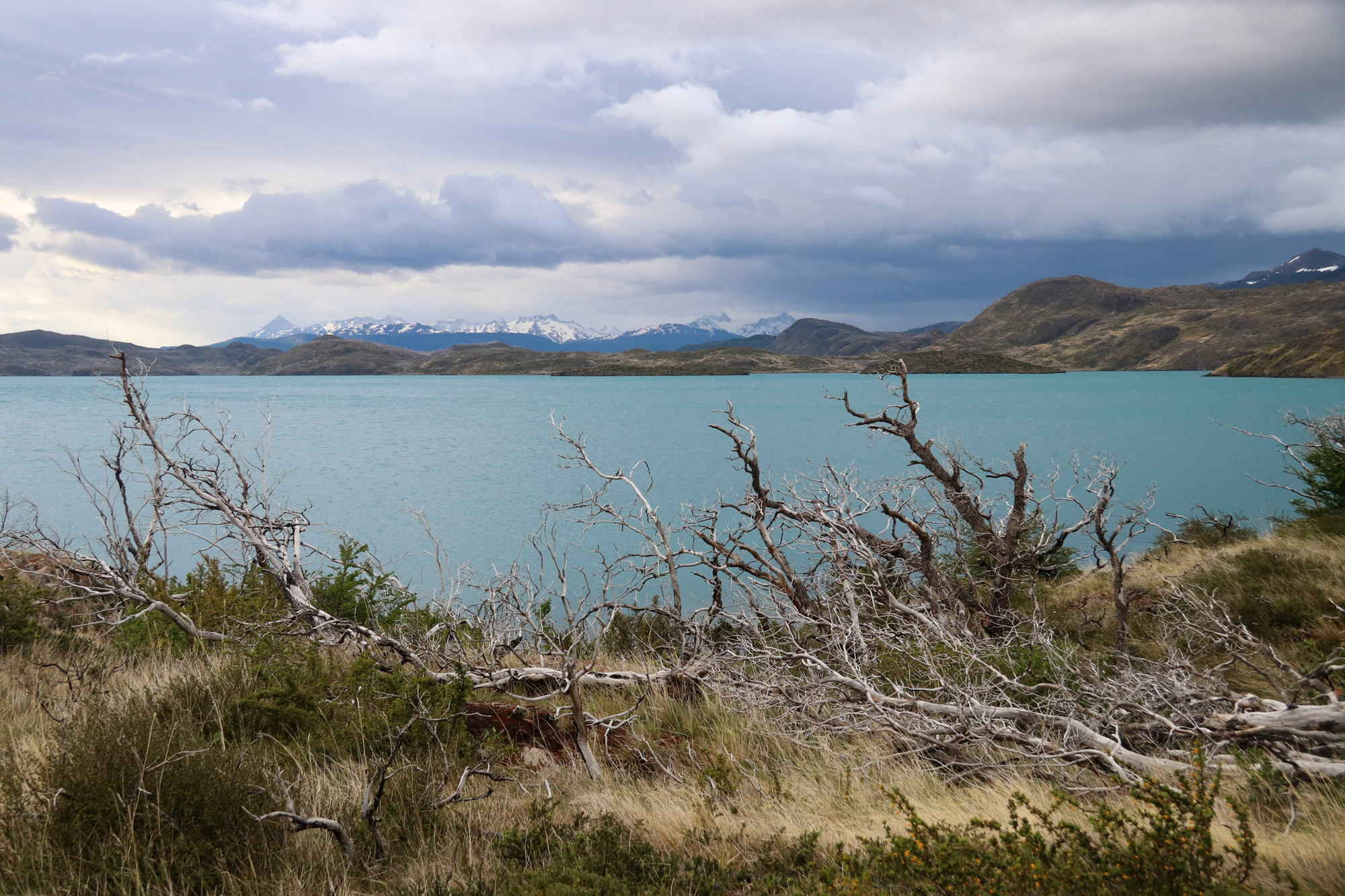 Patagonië - Torres del Paine