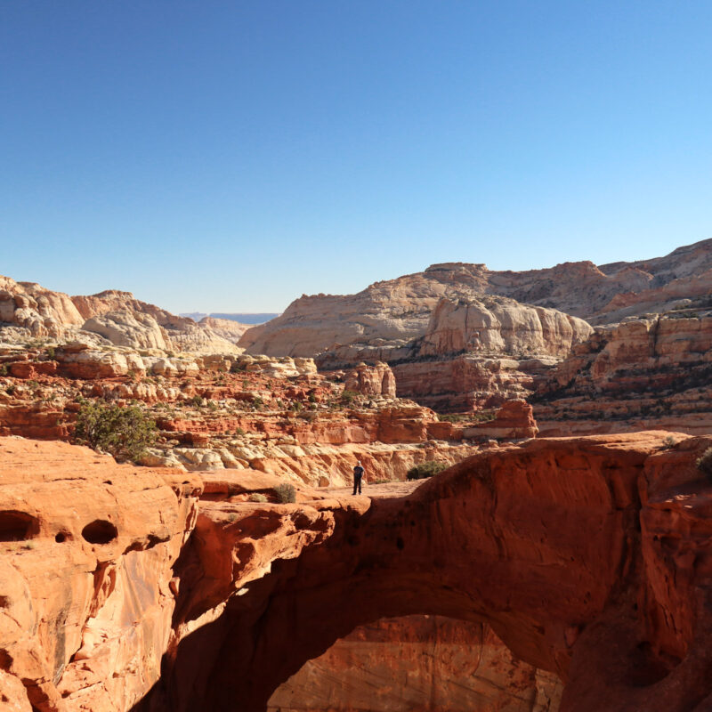 Wandelen in Utah: Cassidy Arch Trail