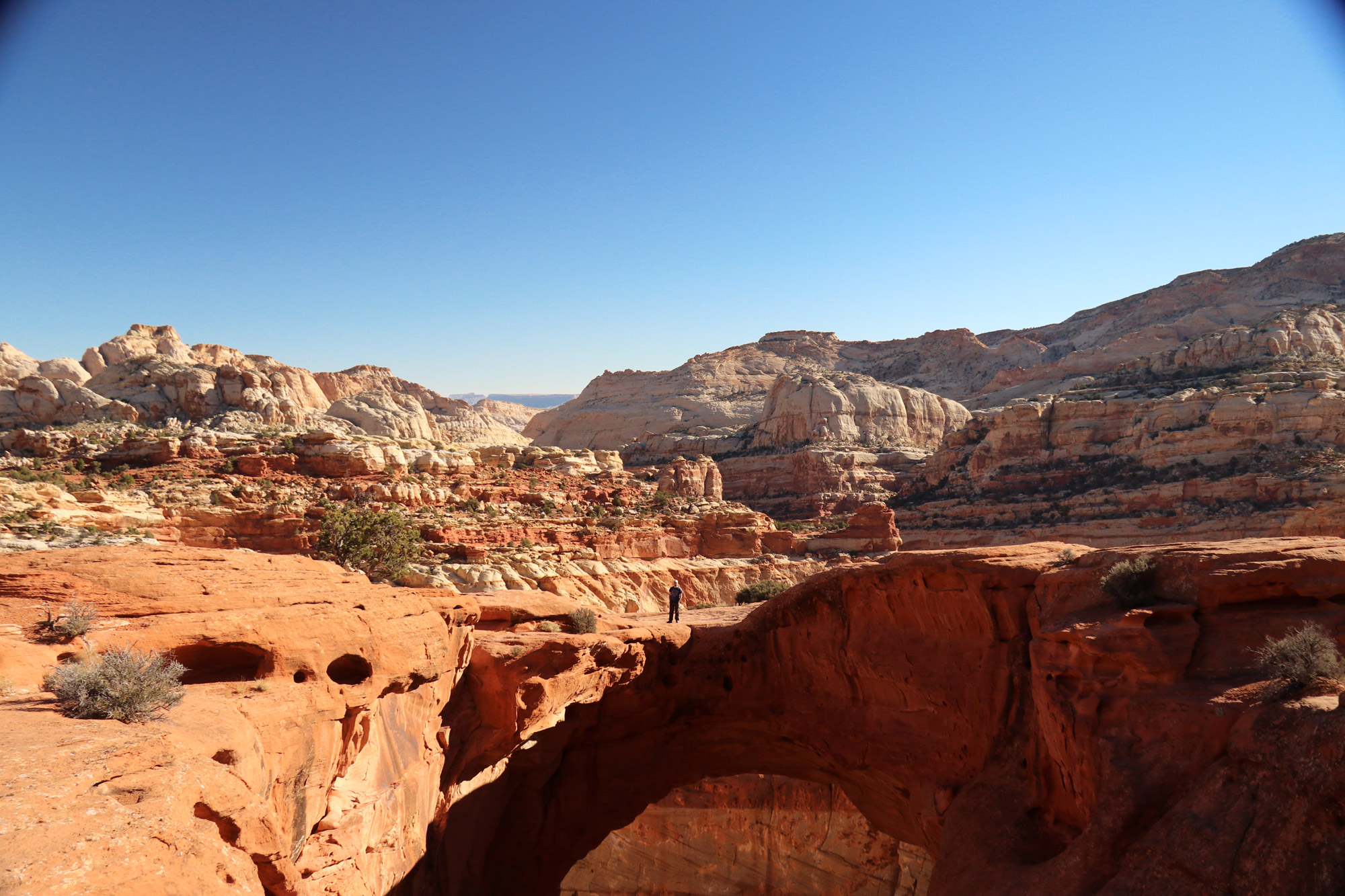 Cassidy Arch Trail - Capitol Reef National Park - Amerika