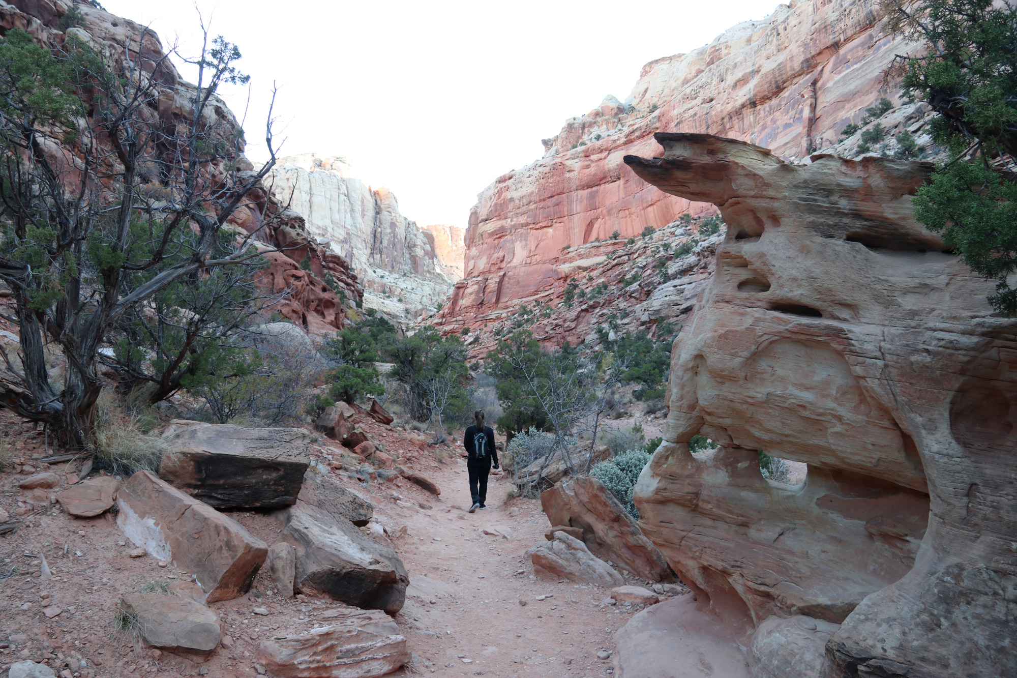 Cassidy Arch Trail - Capitol Reef National Park - Amerika