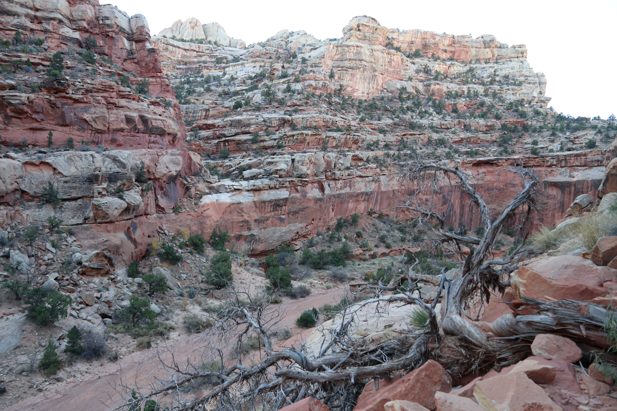 Cassidy Arch Trail - Capitol Reef National Park - Amerika