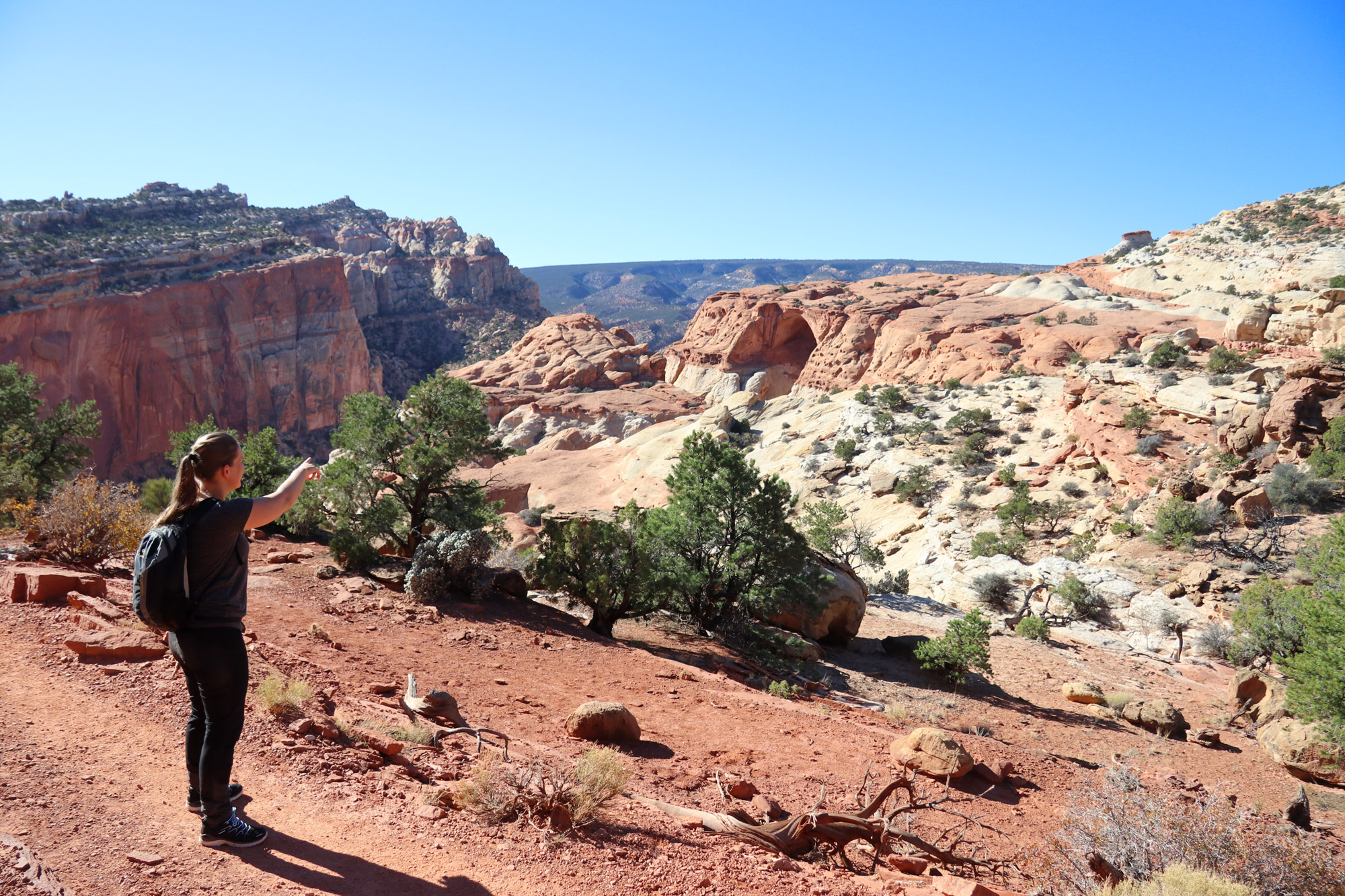 Cassidy Arch Trail - Capitol Reef National Park - Amerika