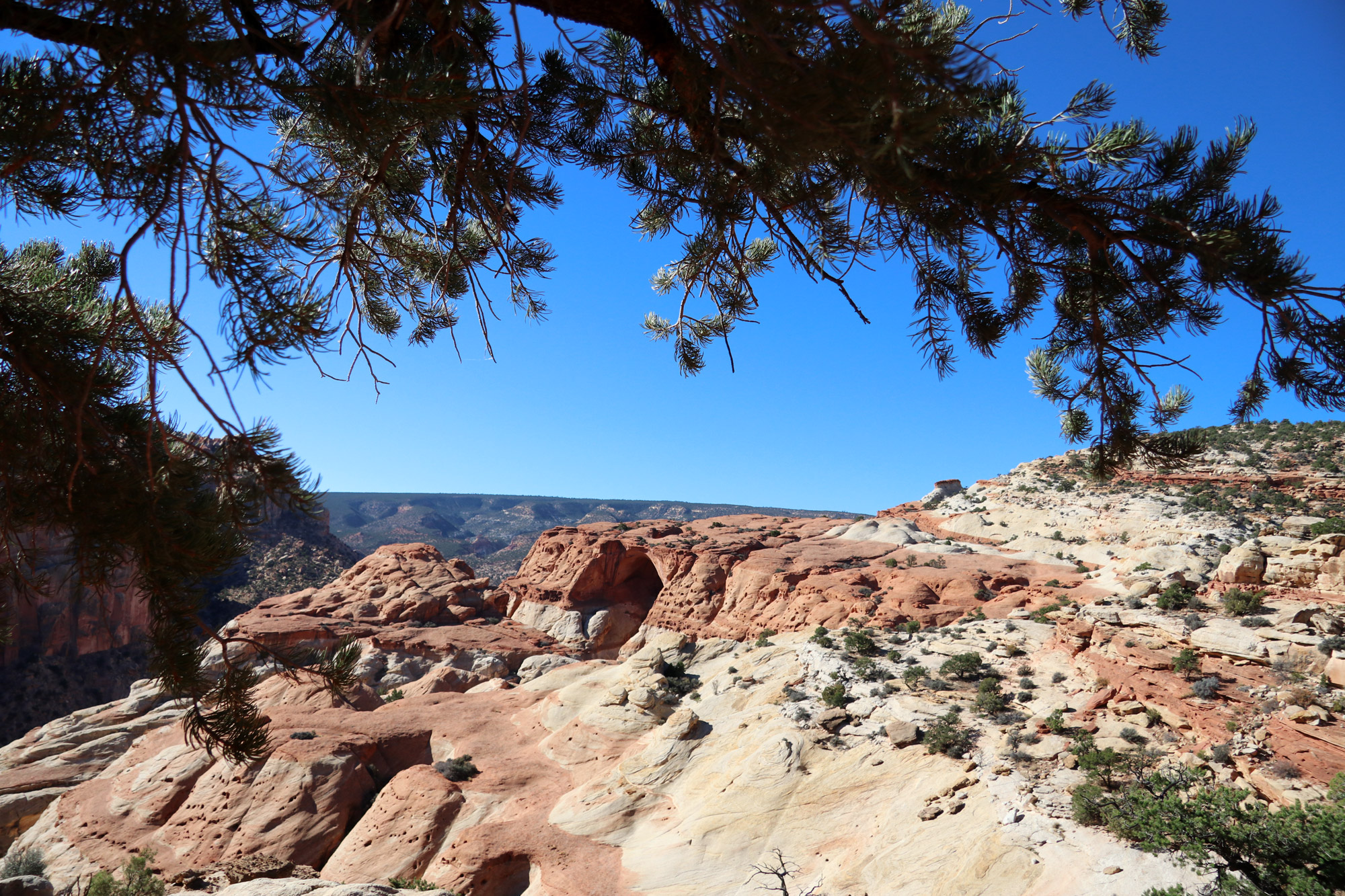 Cassidy Arch Trail - Capitol Reef National Park - Amerika