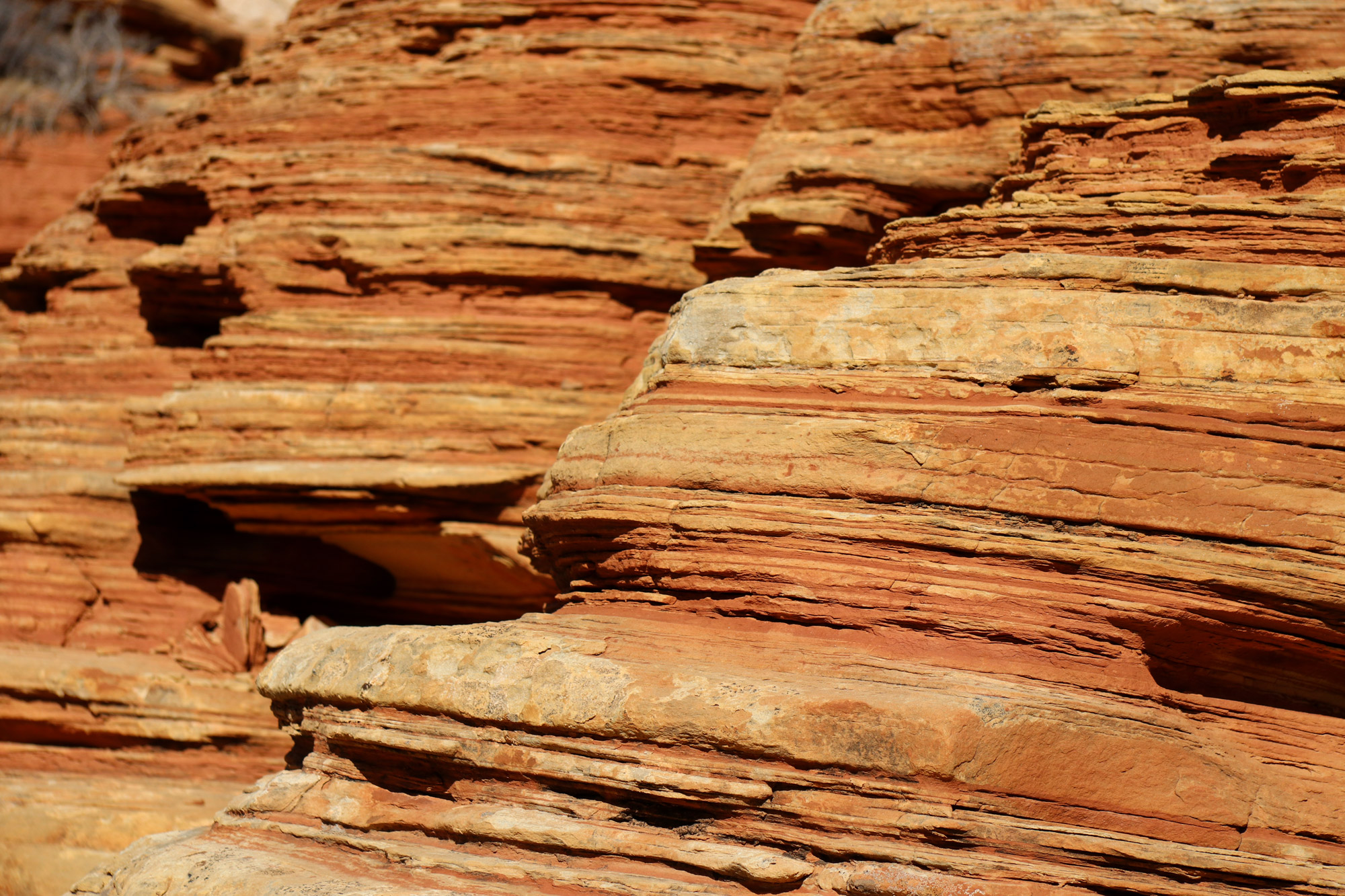 Cassidy Arch Trail - Capitol Reef National Park - Amerika