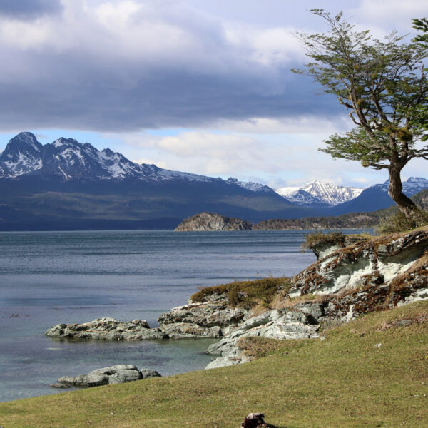 Patagonië - Parque Nacional Tierra del Fuego