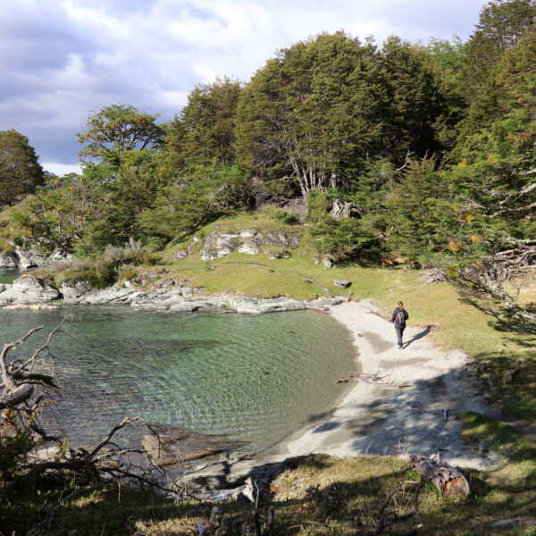 Patagonië - Parque Nacional Tierra del Fuego