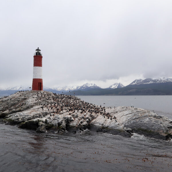 Patagonië - Beaglekanaal - Faro les Eclaireurs