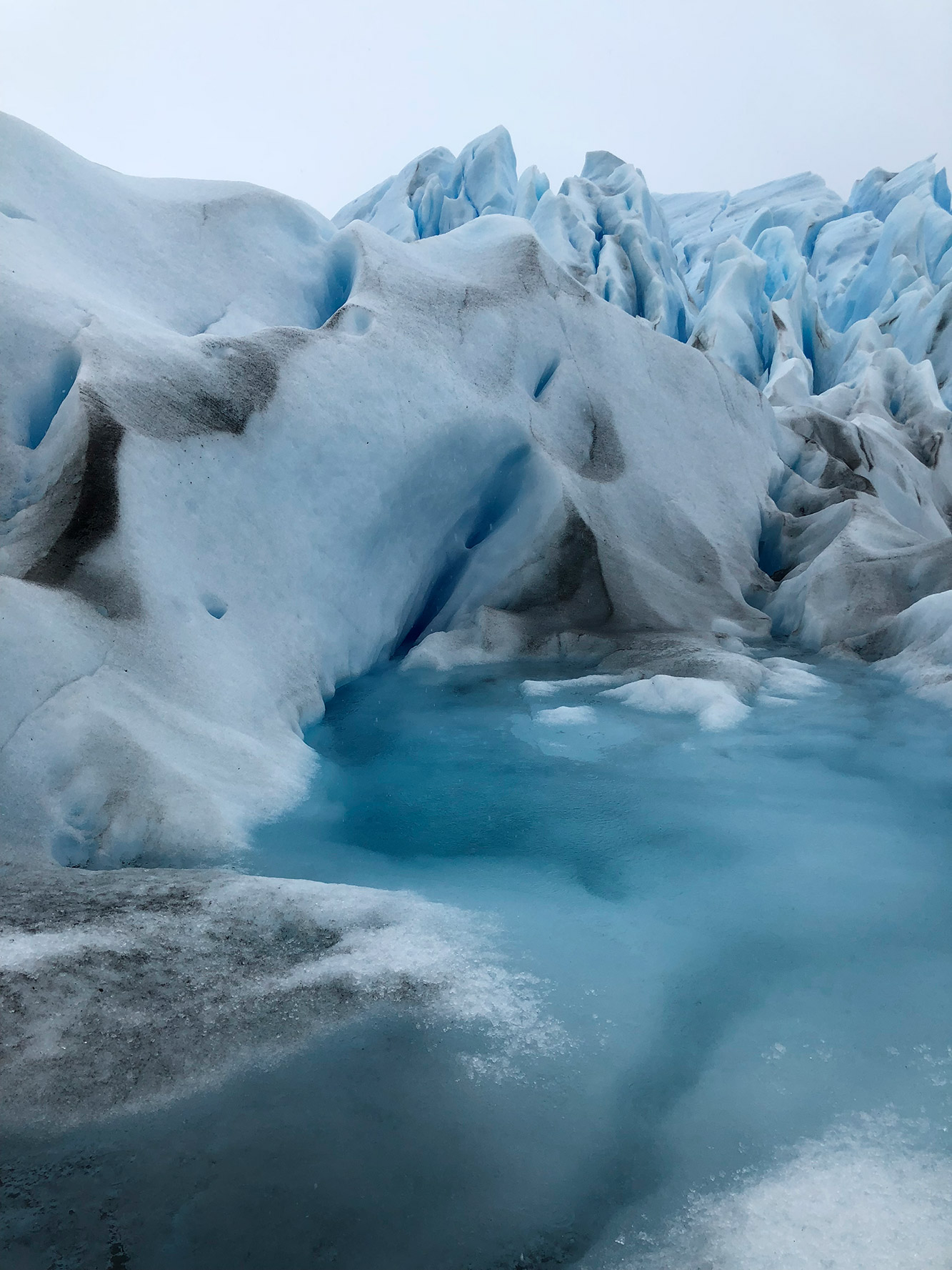 Reisverslag Patagonië - Perito Moreno - Parque Nacional Los Glaciares