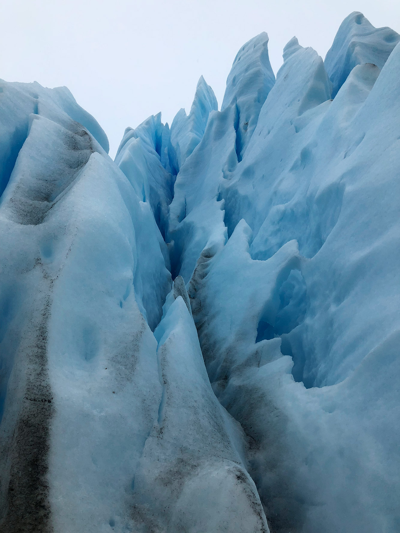 Reisverslag Patagonië - Perito Moreno - Parque Nacional Los Glaciares