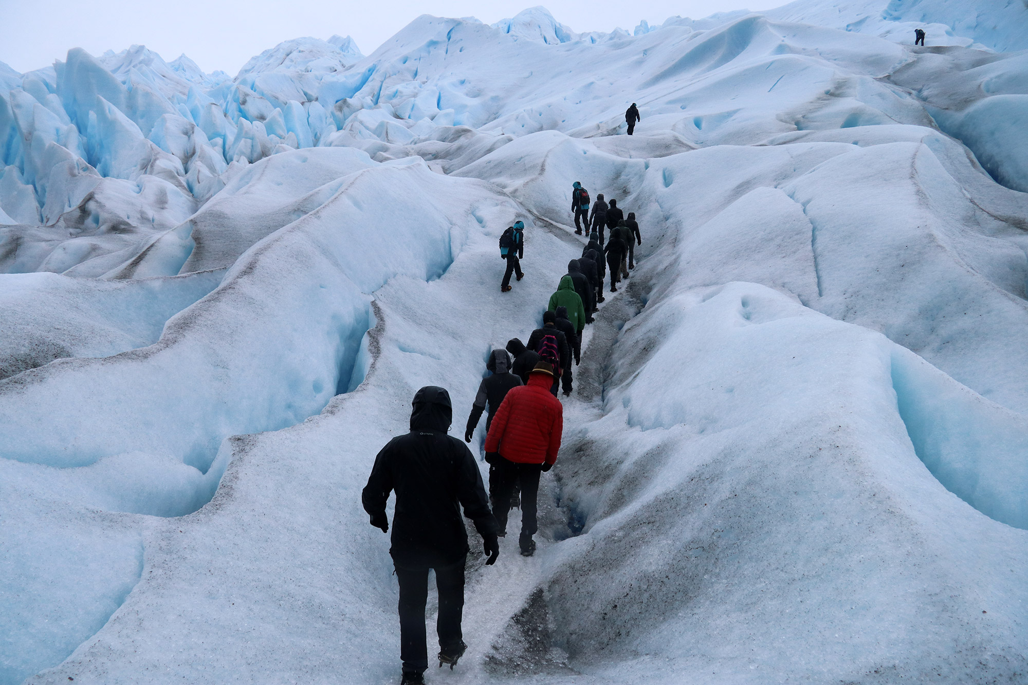 Reisverslag Patagonië - Perito Moreno - Parque Nacional Los Glaciares