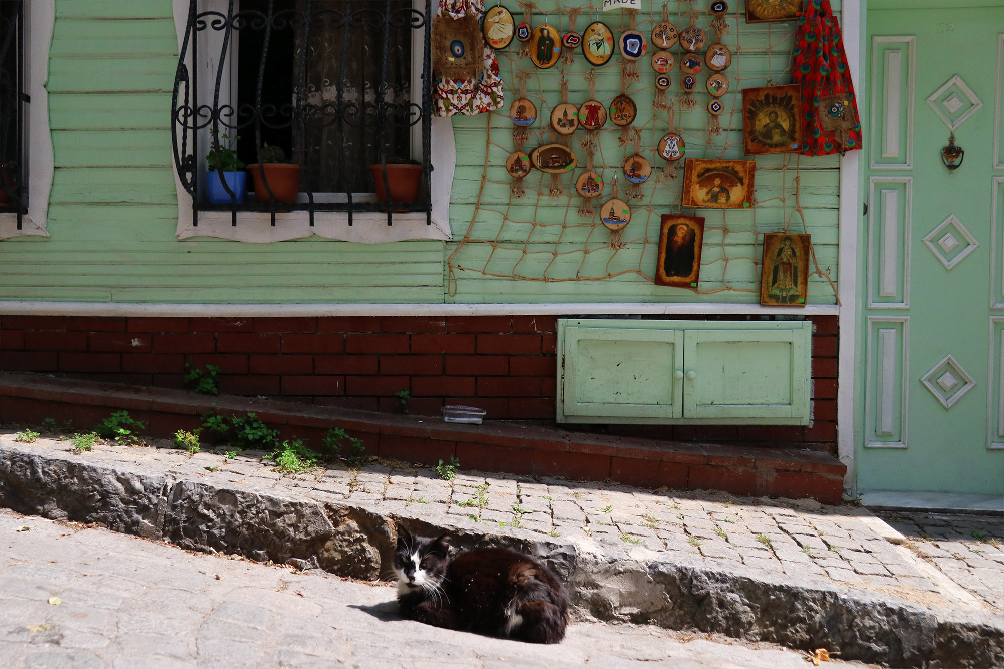 De straatkatten van Istanboel - Turkije