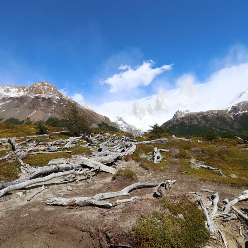 Kosten & budget Patagonië: reis van vier weken