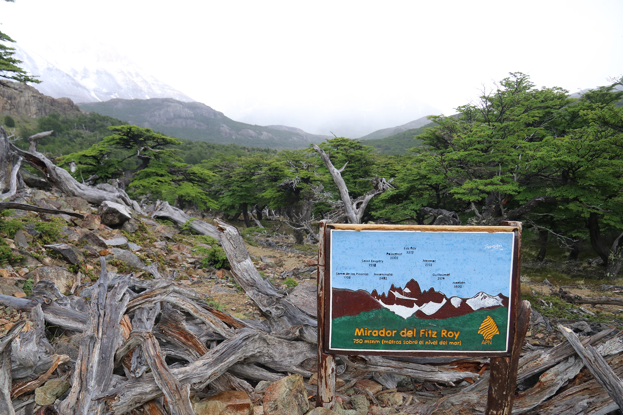 Reisverslag Patagonië - Laguna de los tres