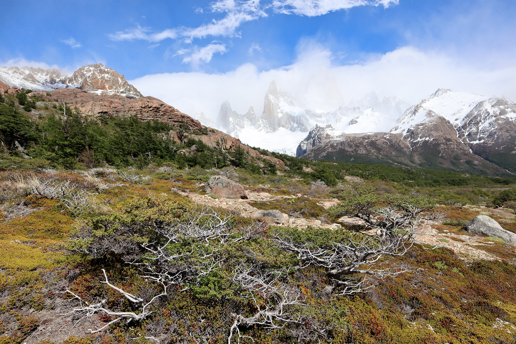 Reisverslag Patagonië - Laguna de los tres