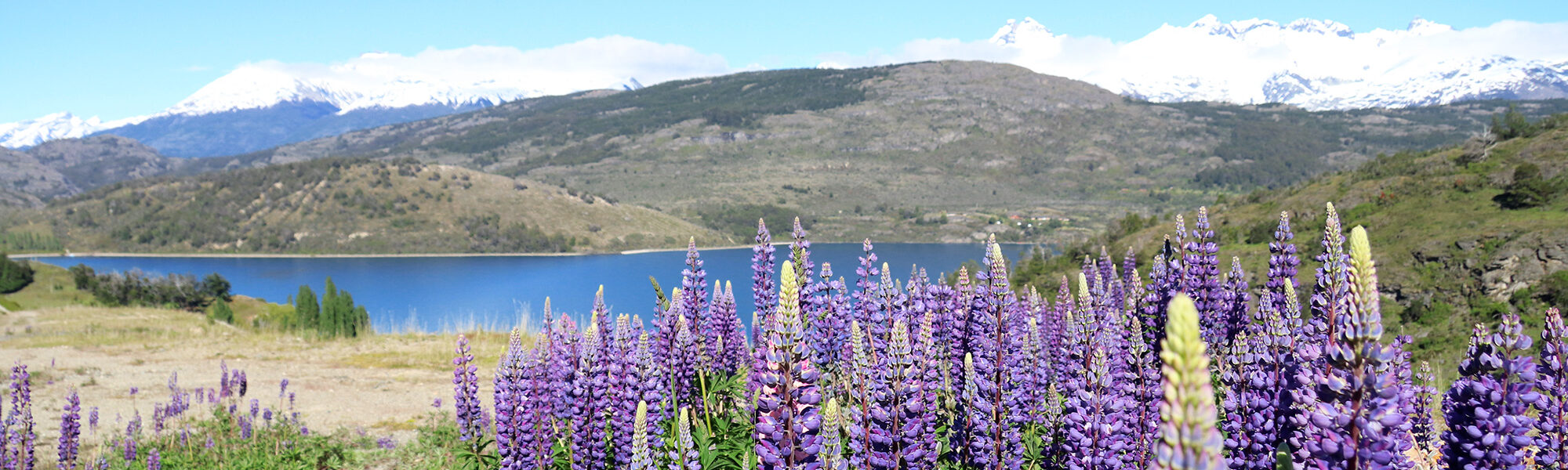 Reisverslag Patagonië - Lago General Carrera