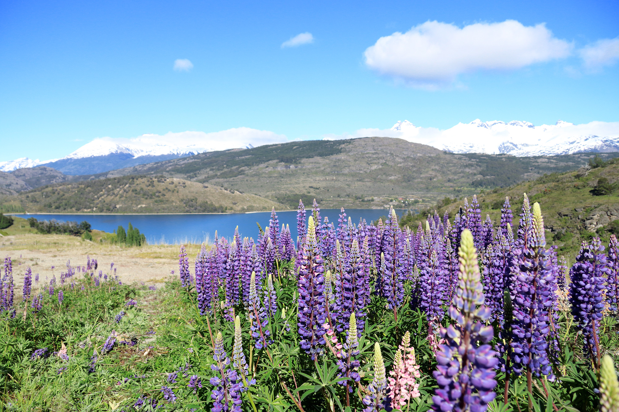 Reisverslag Patagonië - Lago General Carrera