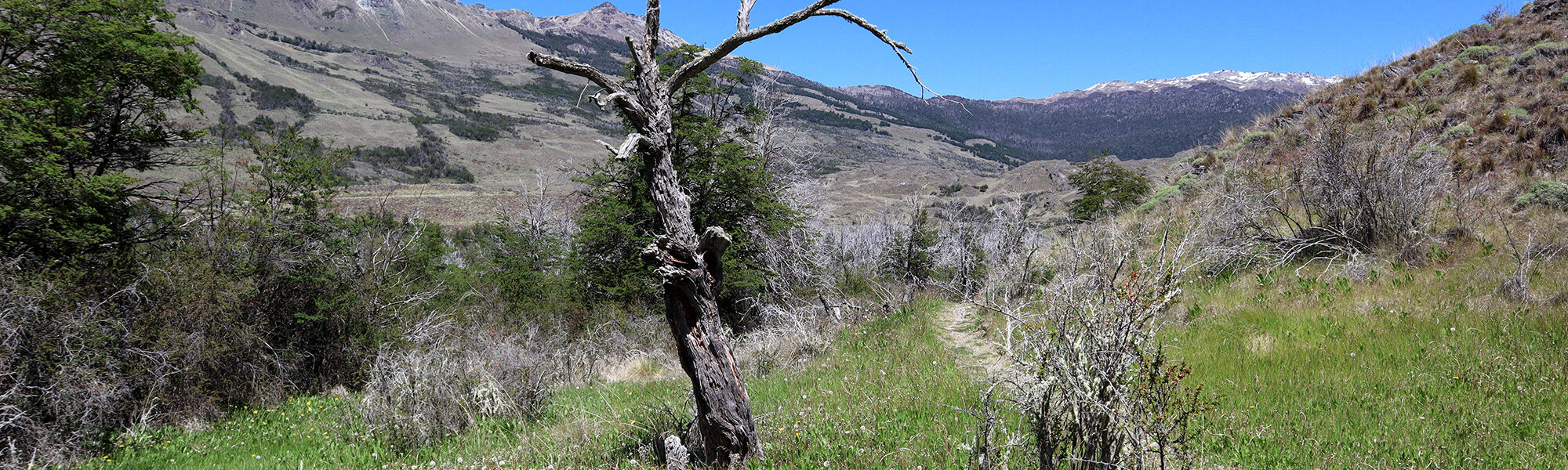 Reisverslag Patagonië - Parque Patagonia - Sendero La Vega