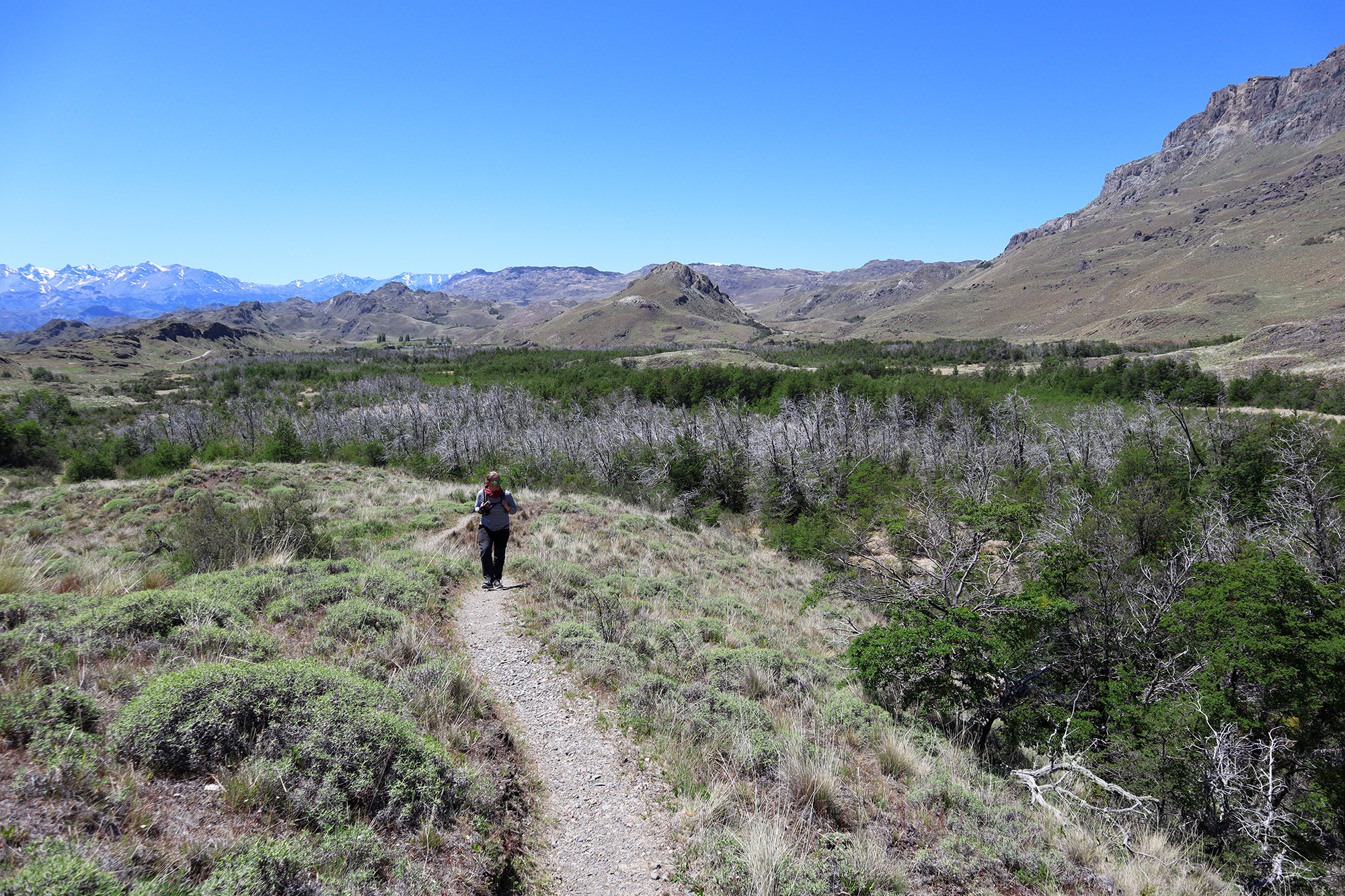 Reisverslag Patagonië - Parque Patagonia - Sendero La Vega