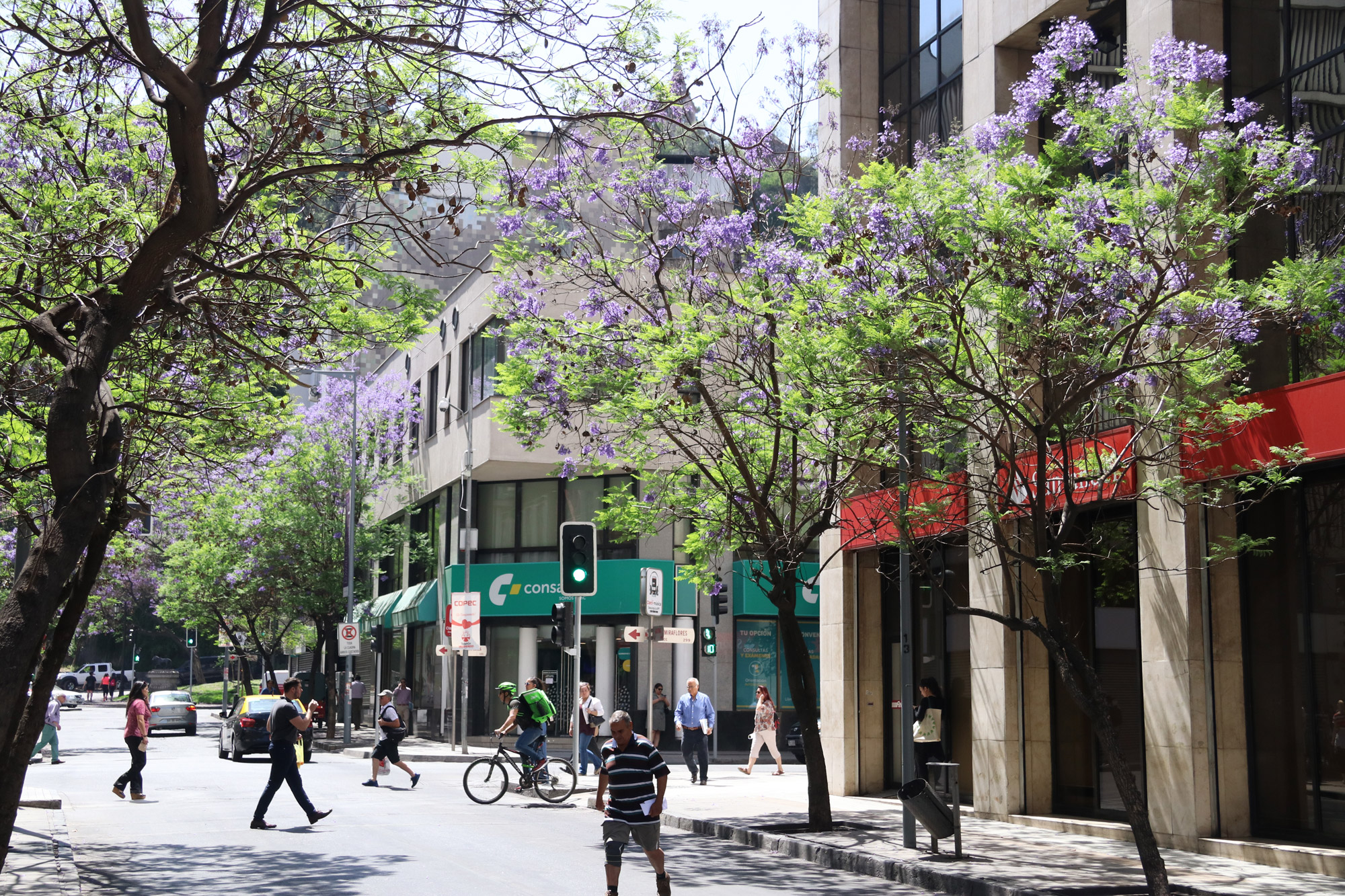 Reisverslag Patagonië - Santiago