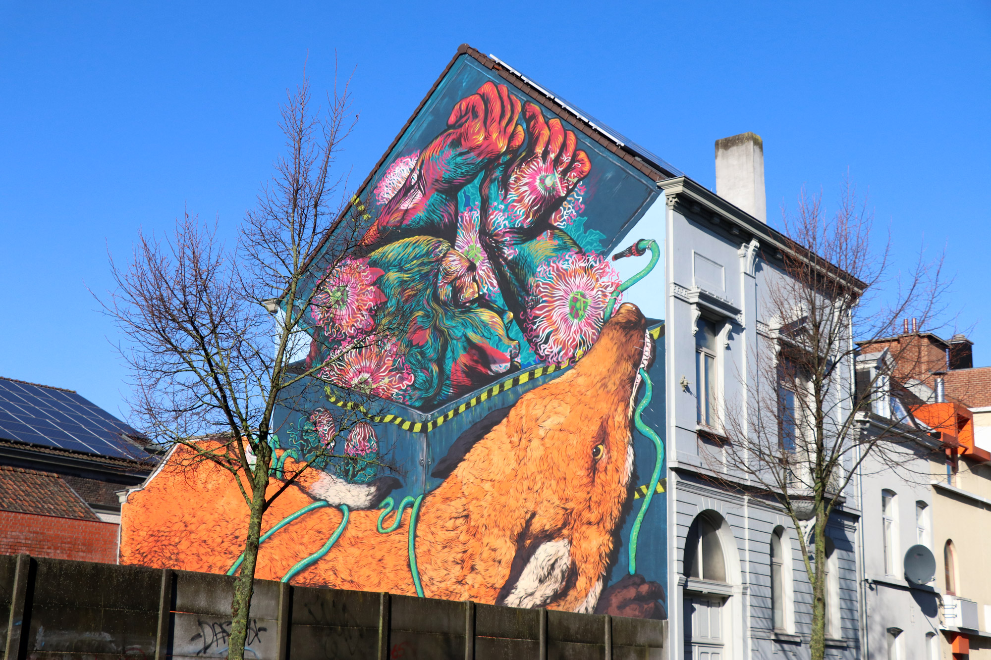 Street Art in Gent - Sorry, Not Sorry Street Art Map Gent