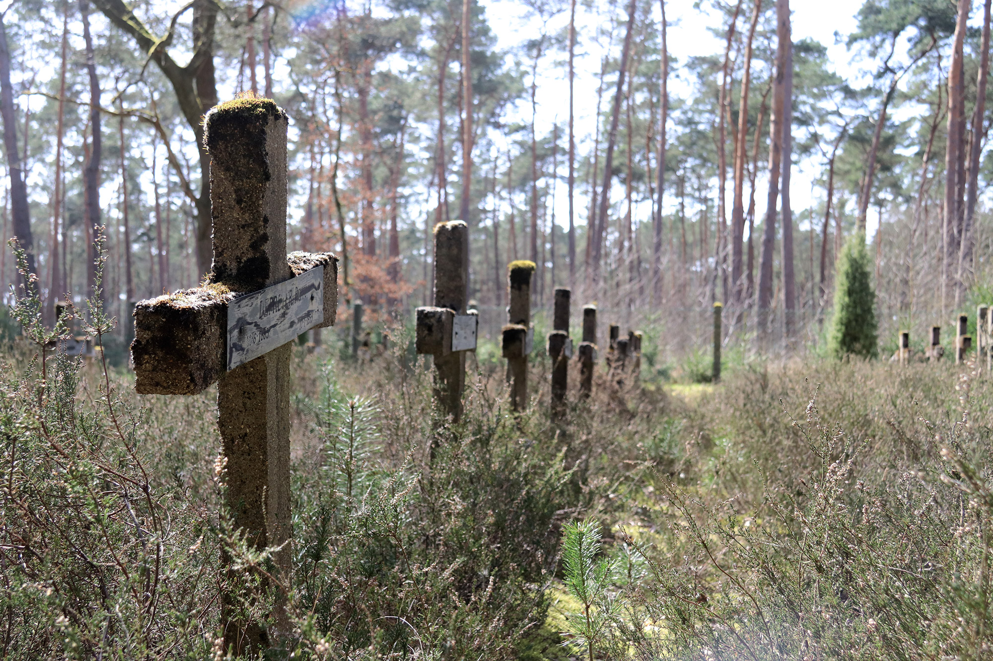 Urbex: Krankzinnigenkerkhof